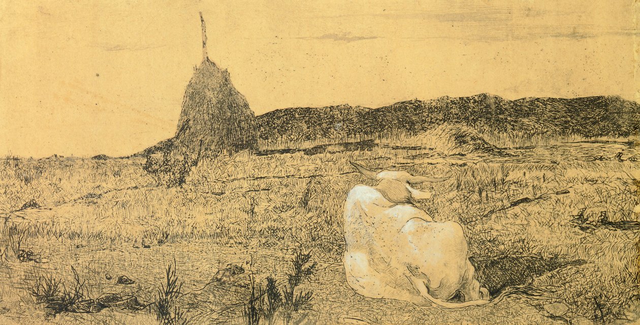 Giovanni Fattorin (1825-1908) Pio Bove (Hurrasta tai rauhallinen härkä), etsaus tekijältä Giovanni Fattori