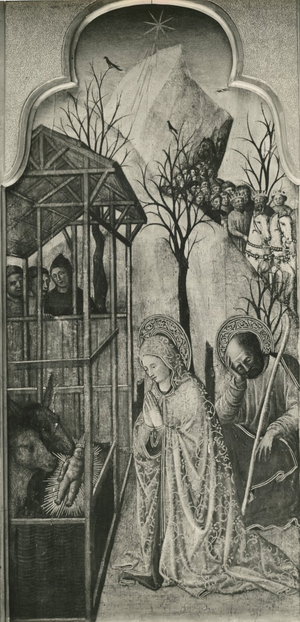Neitsyen elämän kiertokulku, syntymä, n. 1445 (öljy poppelilevylle) tekijältä Giovanni Francesco da Rimini