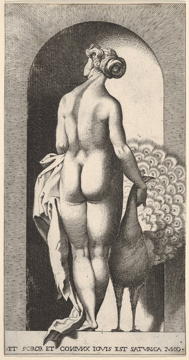 Levy 4: Juno seisoo kapealla, takaa katsottuna, silitti riikinkukkoa oikealla puolellaan, fr..., 1526. tekijältä Giovanni Jacopo Caraglio