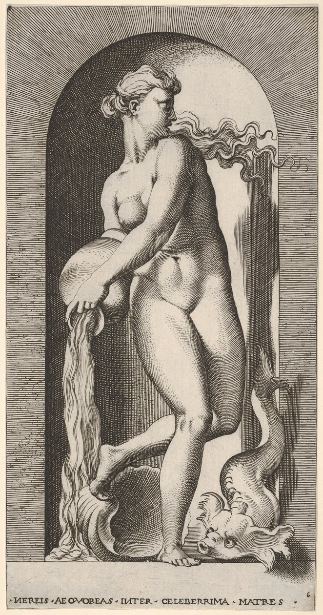 Levy 6: Thetis seisoo syvennyksessä kuoren ja merieläimen kanssa, kaatamassa vettä ..., 1526. tekijältä Giovanni Jacopo Caraglio
