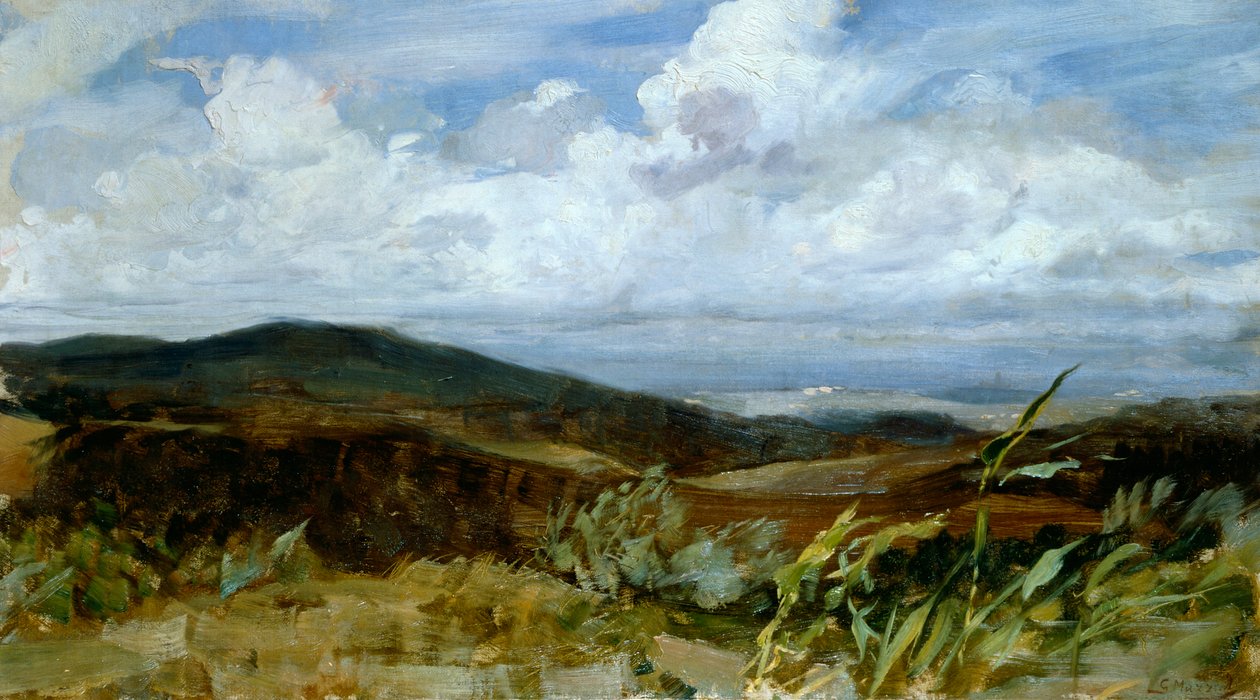 Giovanni Muzziolin (1854-1894) maisema, öljy kankaalle, 39x68 cm tekijältä Giovanni Muzzioli