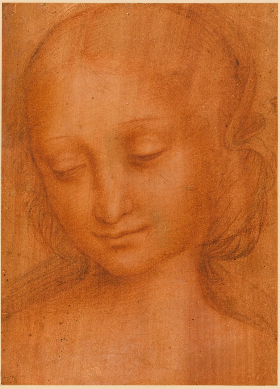 Naisen pää tekijältä Giovanni Pietro Rizzoli Giampietrino