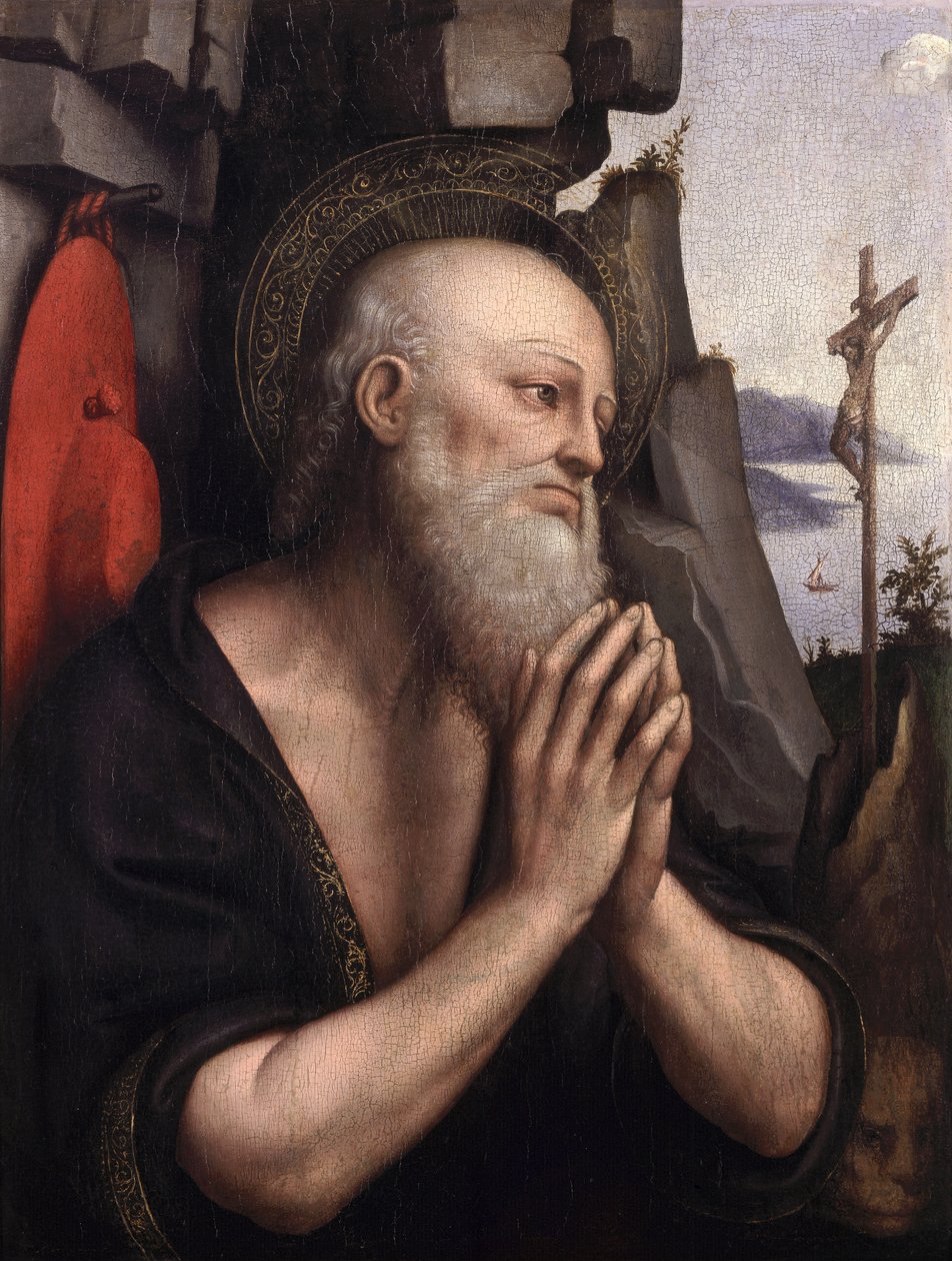 The Peniten St. Jerome (öljy paneelissa) tekijältä Giovanni Pietro Rizzoli Giampietrino