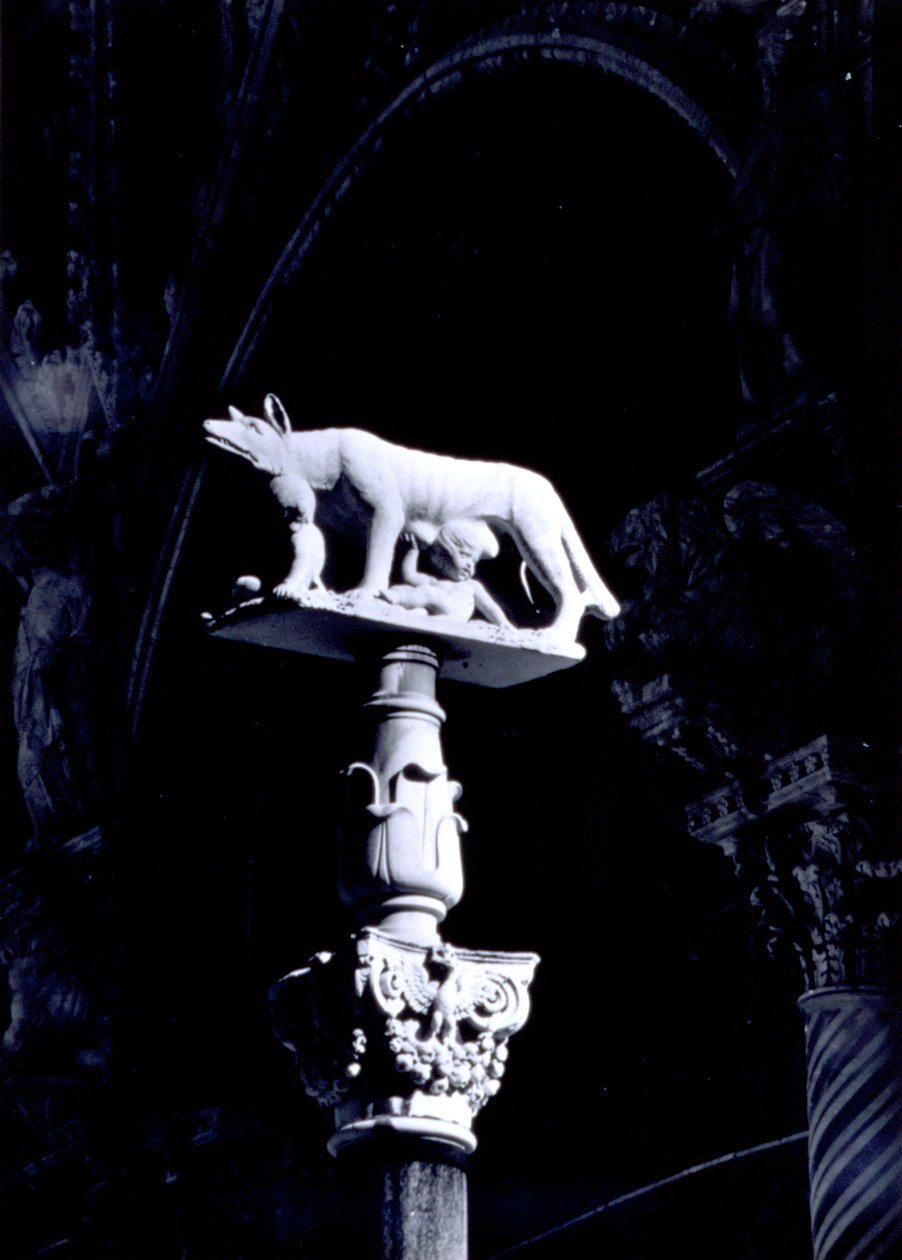 Sieneselainen susi, kaksoset Romulus ja Remus, Piazza del Duomon julkisivu (marmori) tekijältä Giovanni Pisano