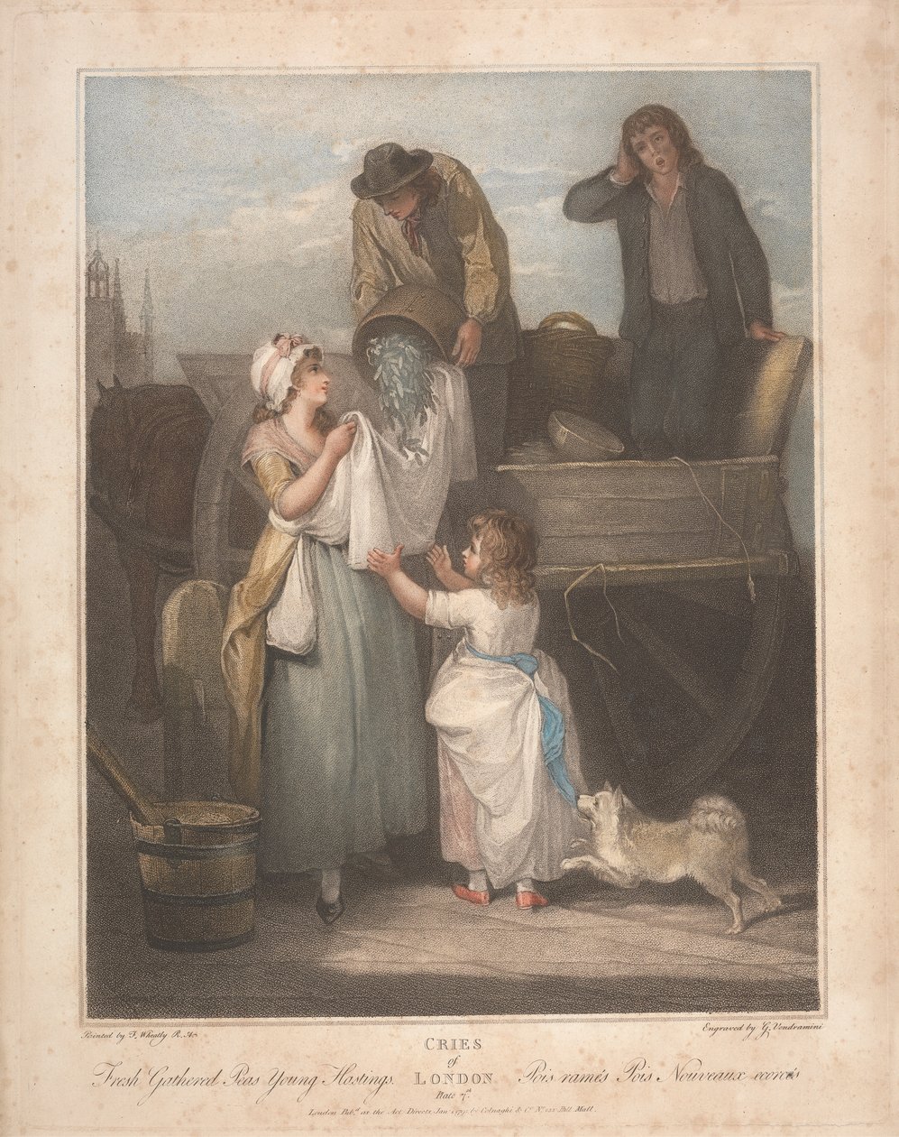 Tuoreet kerätyt herneet, Young Hastings tekijältä Giovanni Vendramini