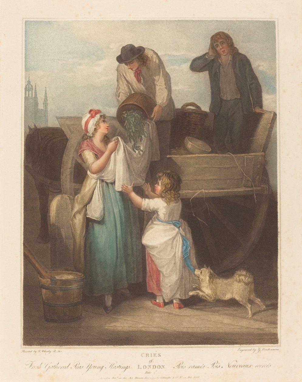 Tuoreet kerätyt herneet, Young Hastings tekijältä Giovanni Vendramini after Francis Wheatley