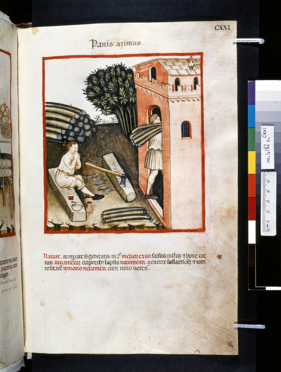 Ububchasym de Baldachin Theatrum sanitatis: "Panis Azimus", 1300-luvun ensimmäinen vuosikymmen (pienoiskuva). tekijältä Giovannino de