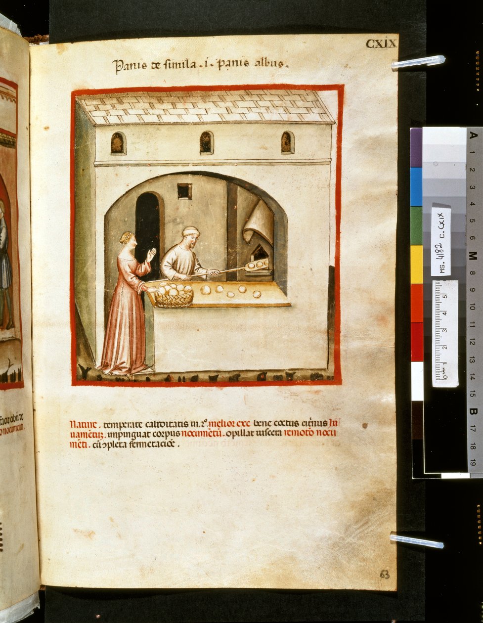 Ububchasym de Baldachin "Theatrum sanitatis": "Panis de Simila", 1300-luvun ensimmäinen vuosikymmen (pienoiskoossa) tekijältä Giovannino de