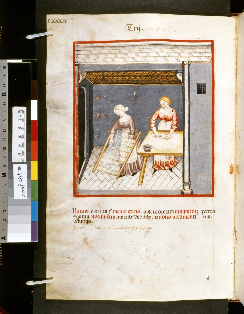 Ububchasym de Baldachin Theatrum sanitatis: "Trij", 1300-luvun ensimmäinen vuosikymmen (pienoiskuva). tekijältä Giovannino de