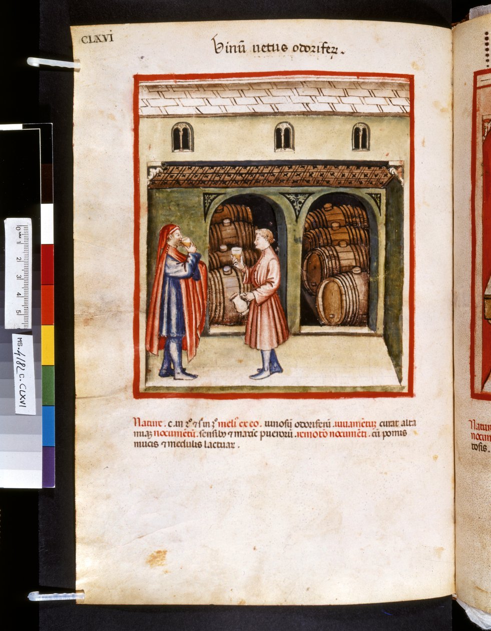 Ububchasym de Baldachin Theatrum sanitatis: "Vinum Vetus Odoriferum", 1300-luvun ensimmäinen vuosikymmen (pienoiskuva). tekijältä Giovannino de