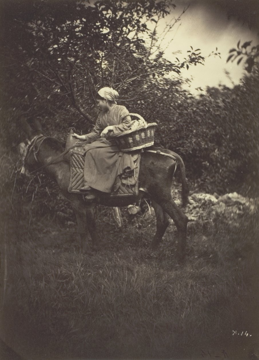 Naarastalonpoikaasi, 1870. tekijältä Giraudon