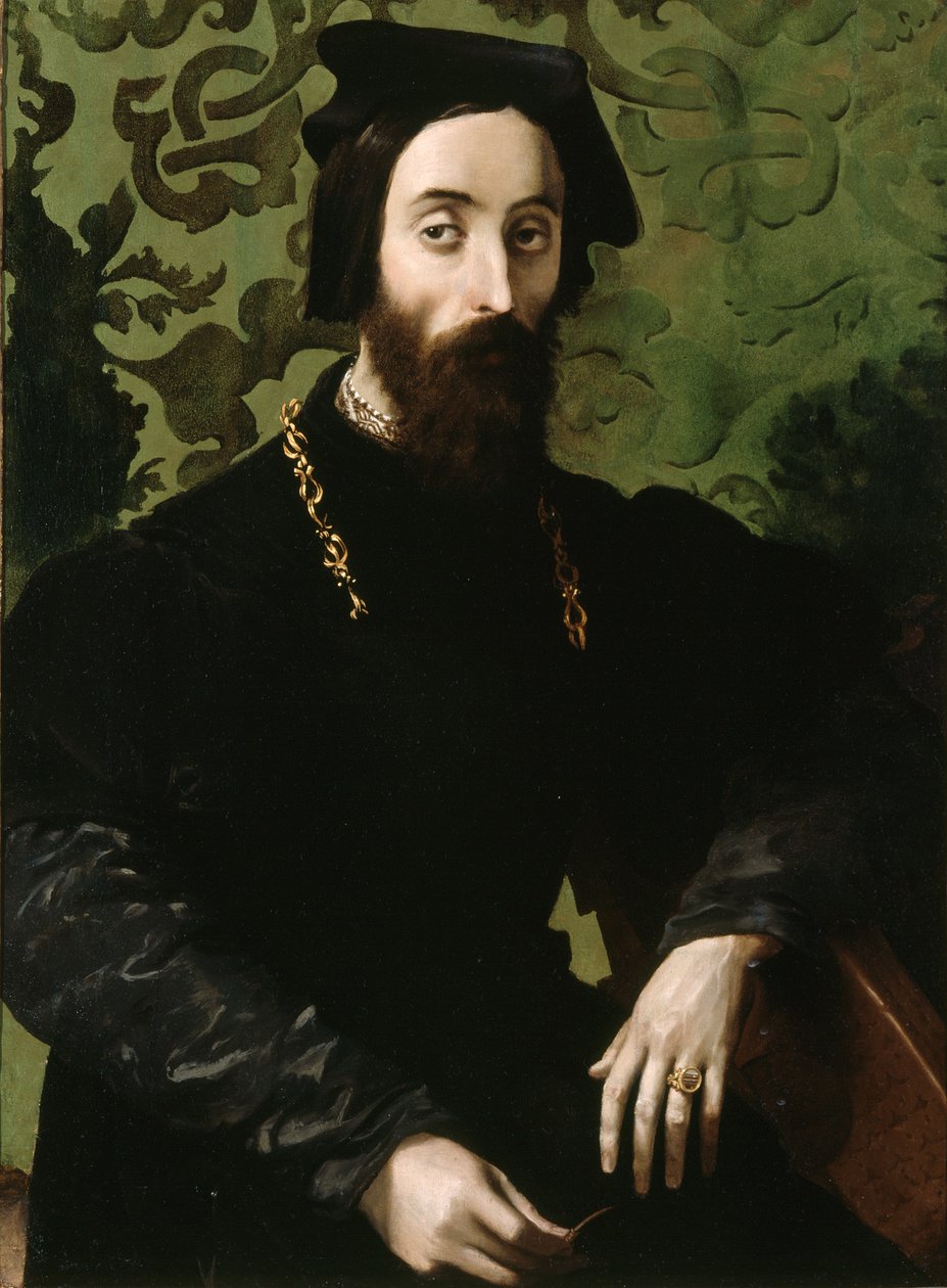Muusikon muotokuva, n.1540 (öljy paneelille) tekijältä Girolamo Mazzola (attr.) Bedoli