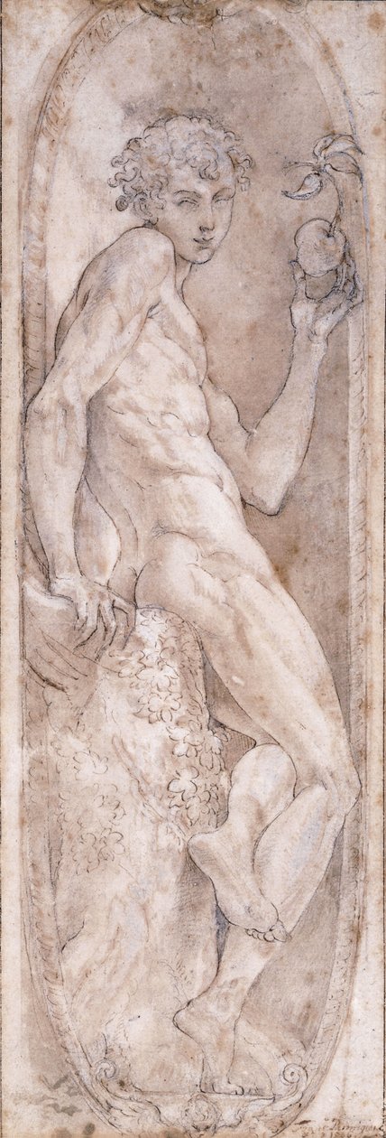Adam pitelee omenaa, istuu medaljonissa, n. 1547-1553 tekijältä Girolamo Mazzola Bedoli