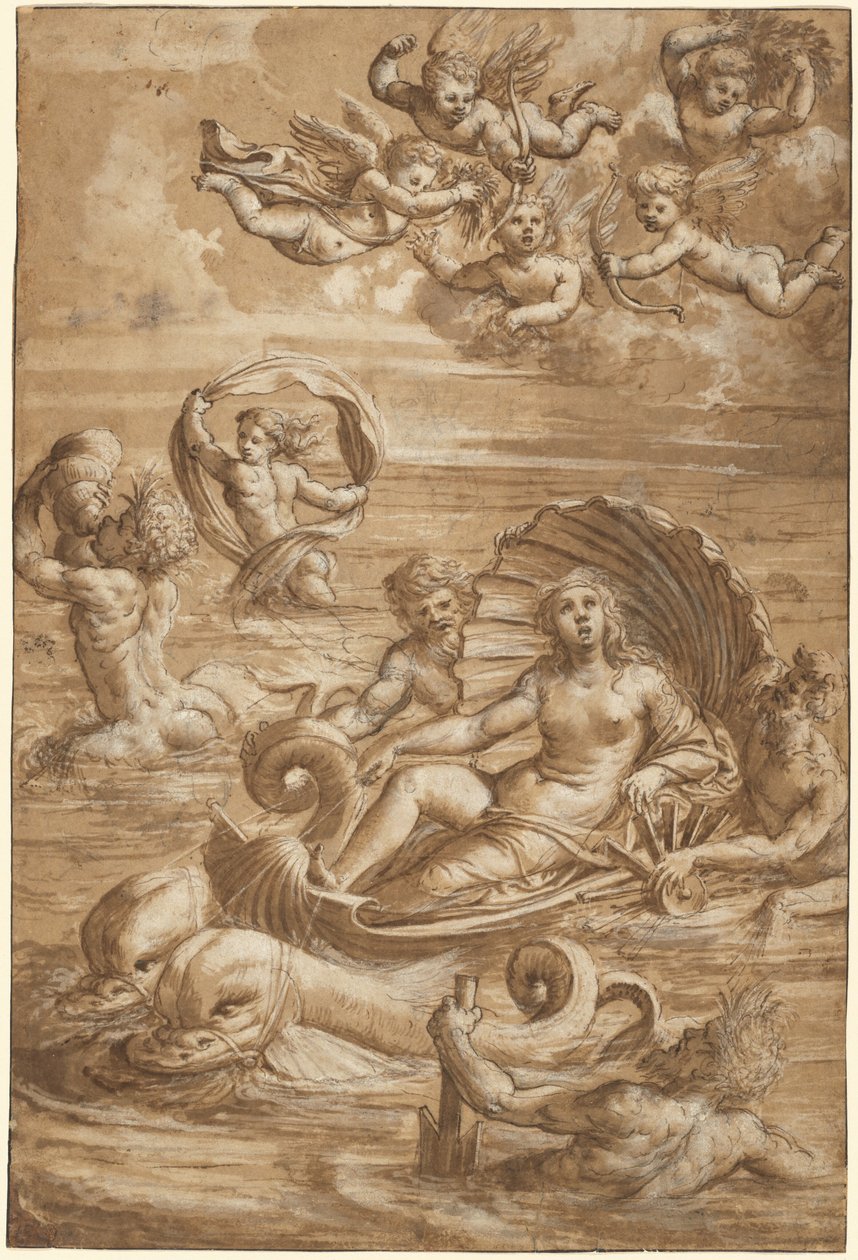 Galatean voitto tekijältä Girolamo da Treviso II