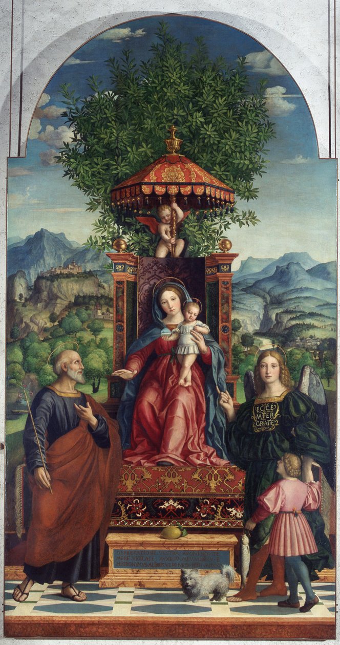 Girolamo dai Librin sateenvarjomadonna, Castelvecchion museo tekijältä Girolamo dai Libri