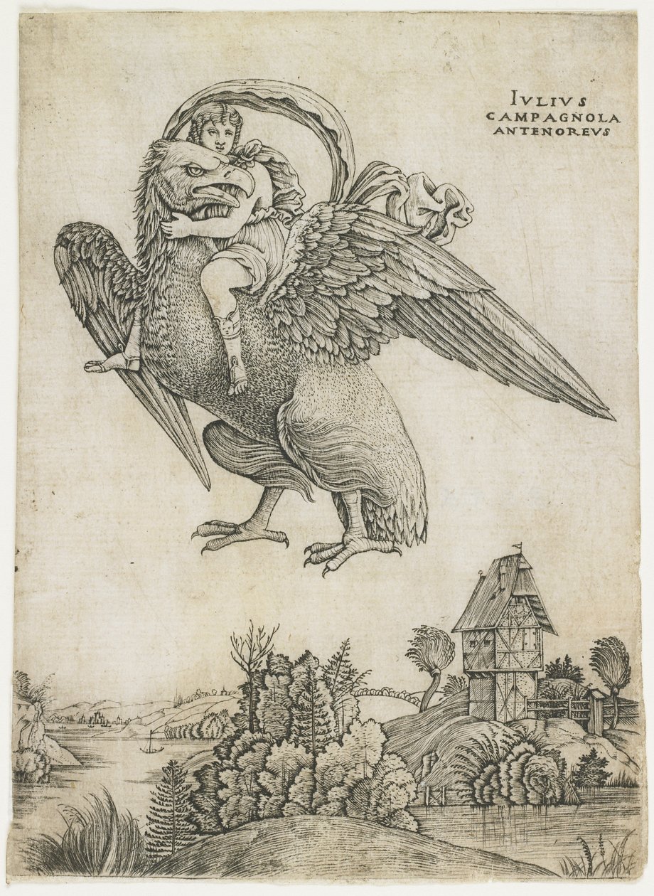 Ganymedes, noin 1500-1505 tekijältä Giulio Campagnola