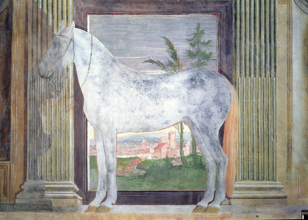 Sala dei Cavalli, yksityiskohta, jossa näkyy muotokuva harmaasta hevosesta Mantovan Ludovico Gonzaga III:n tallilta, 1528 tekijältä Giulio Romano