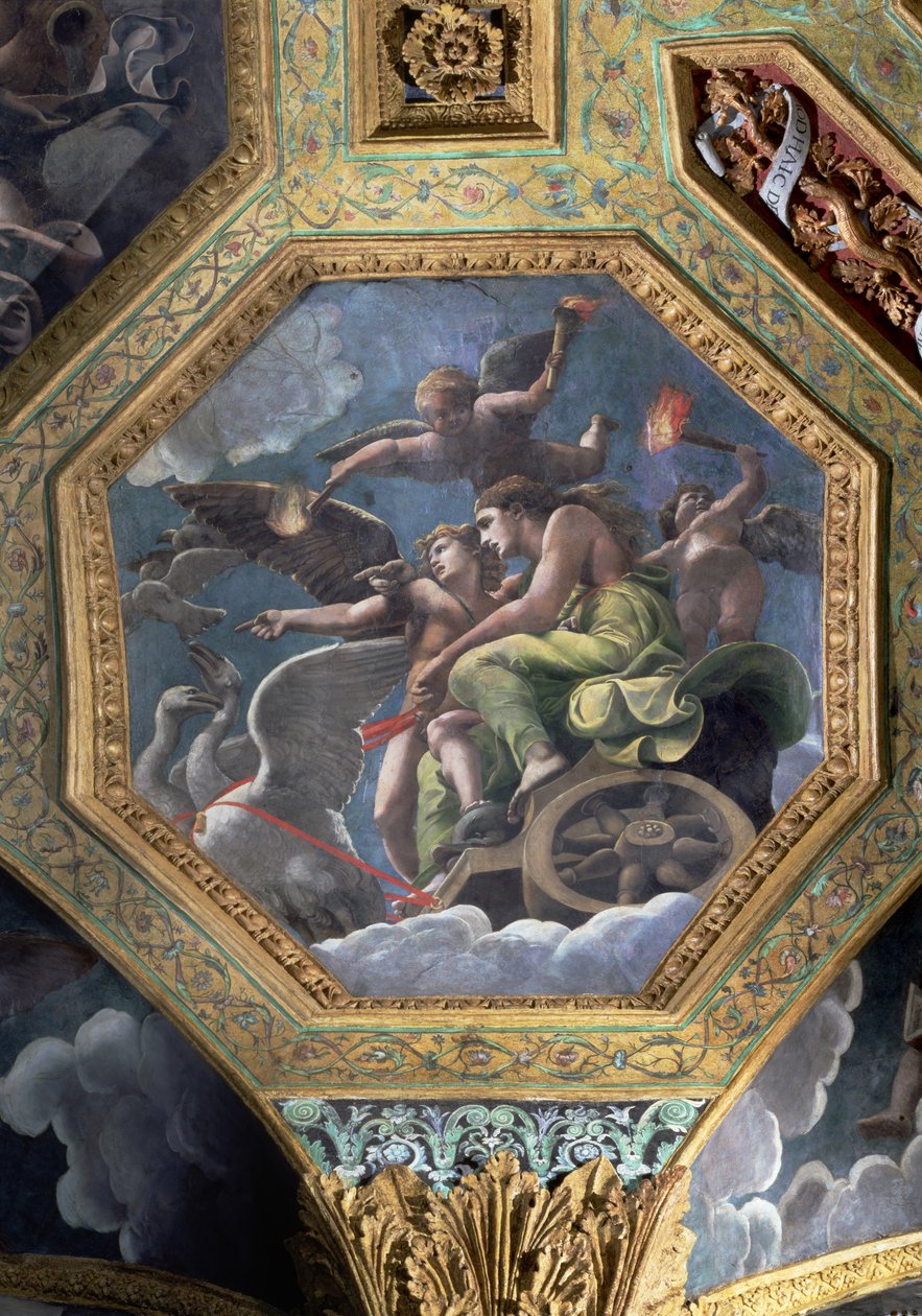 Venus ja Cupid joutsenten vetämissä vaunuissa, kattokessoni Sala di Amore e Psichestä, 1528 (öljy stukkolle) tekijältä Giulio Romano