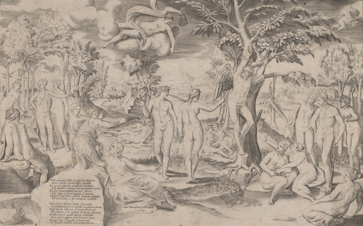 Amor Elysian Fieldsillä sidottu keskellä puuhun, ympäröimänä monia hahmoja, 1563., 1563. tekijältä Giulio Bonasone