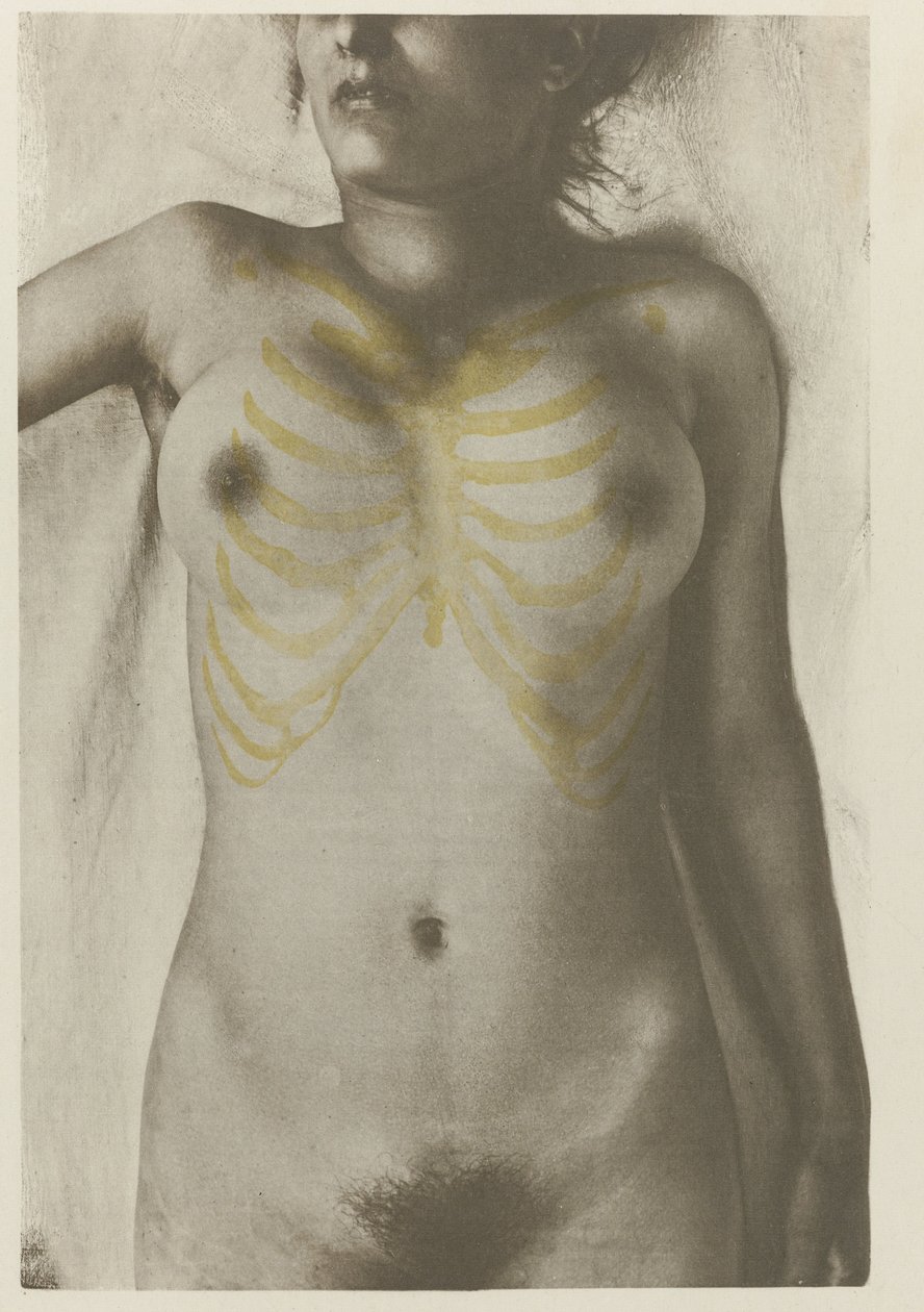 Anatomical foto van een vrouwelijk lijk: 