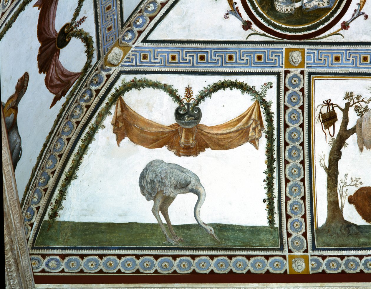 Camera con Fregio di Amorini Amorinin kammio Amorinin friisin yksityiskohta strutsista, 1520-luvun fresko. tekijältä Giulio Romano