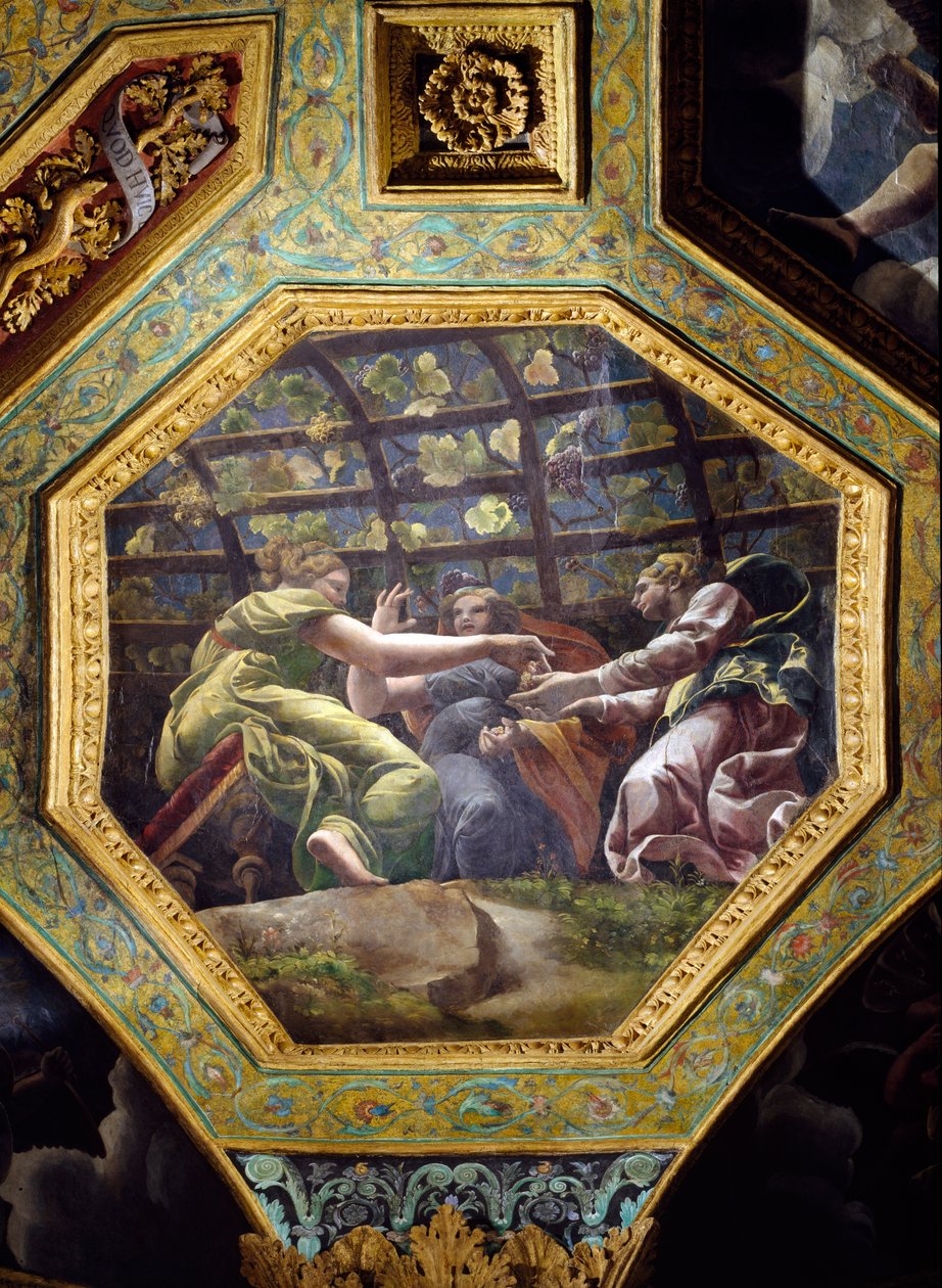 Naiset keräämässä viinirypäleitä, Sala di Amore e Psichen kattokappeli, 1528 (öljy stukille). tekijältä Giulio Romano