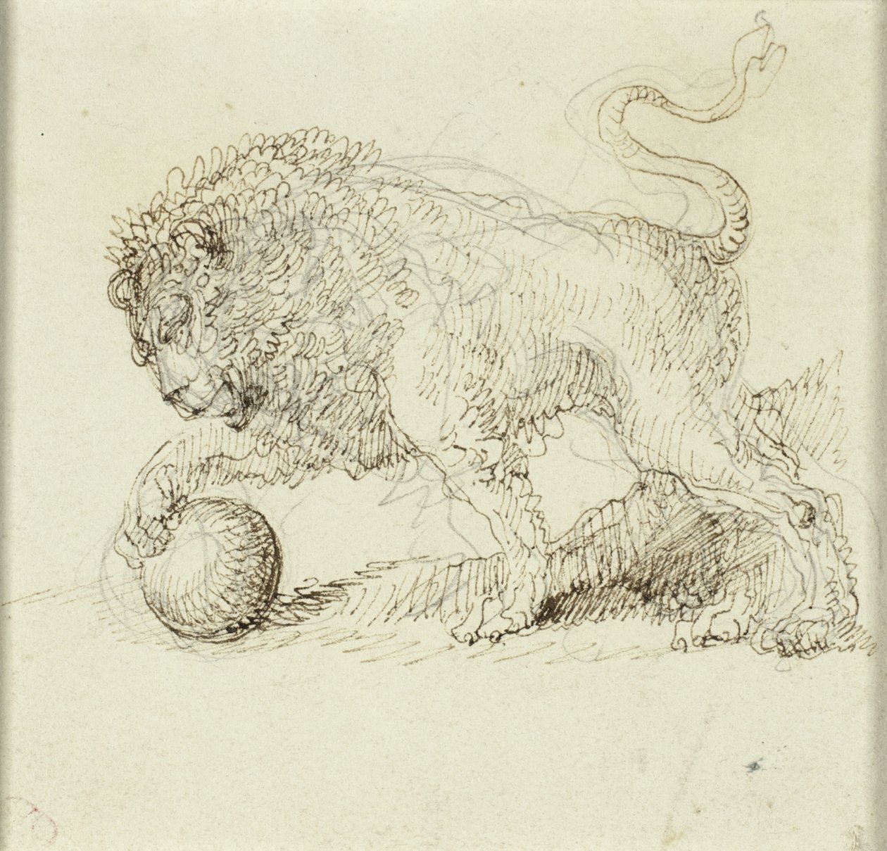 Leijona pallon kanssa tekijältä Giuseppe Bernardino Bison