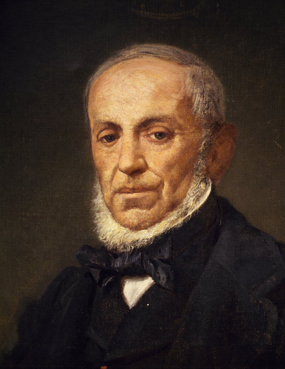 Muotokuva säveltäjä Giuseppe Saverio Raffaele Mercadantesta (Altamura tekijältä Giuseppe Palizzi