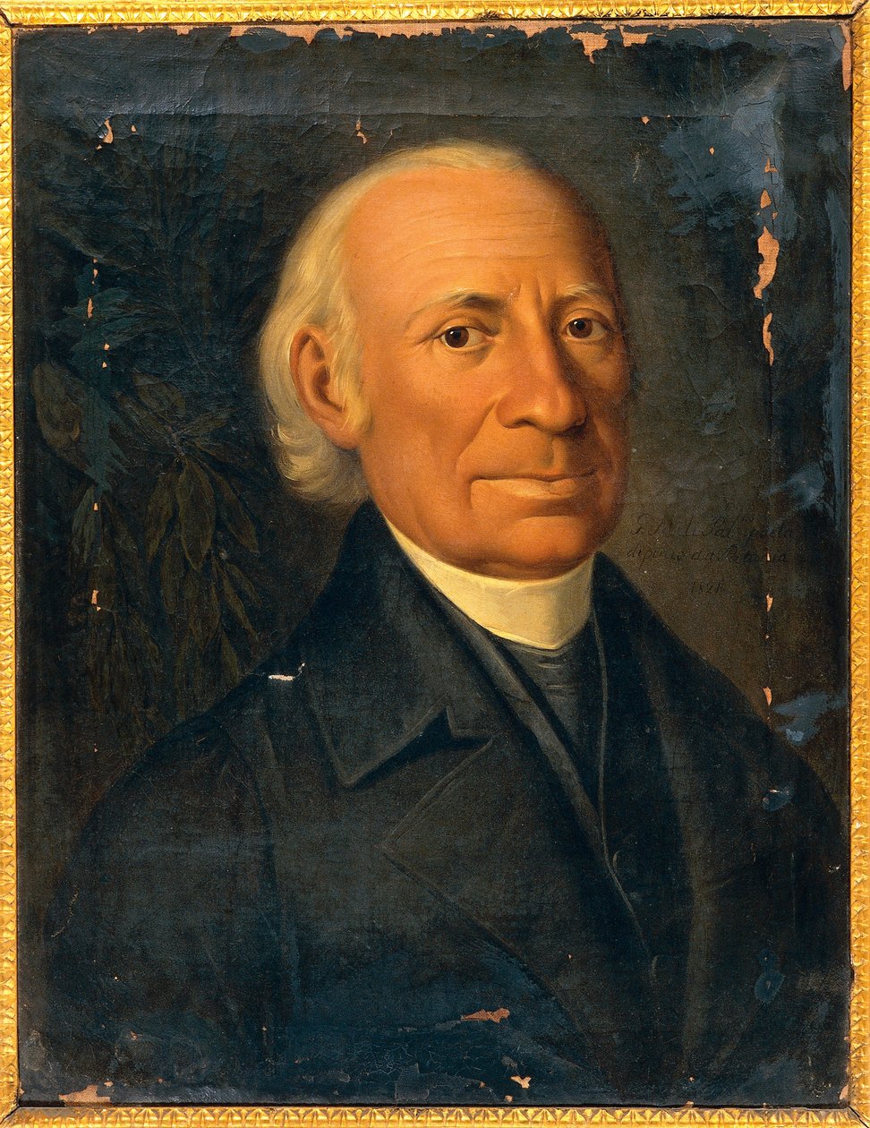 Giovanni Melin (1740-1815), Giuseppe Patanian italialaisen runoilijan ja näytelmäkirjailijan muotokuva, maalaus tekijältä Giuseppe Patania
