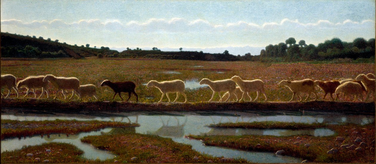 Giuseppe Pellizza da Volpedon (1868-1907) elämän peilimaalaus 1895-1898 Koko 291x132 cm Torino, Modernin ja nykytaiteen kaupungingalleria tekijältä Giuseppe Pellizza da Volpedo
