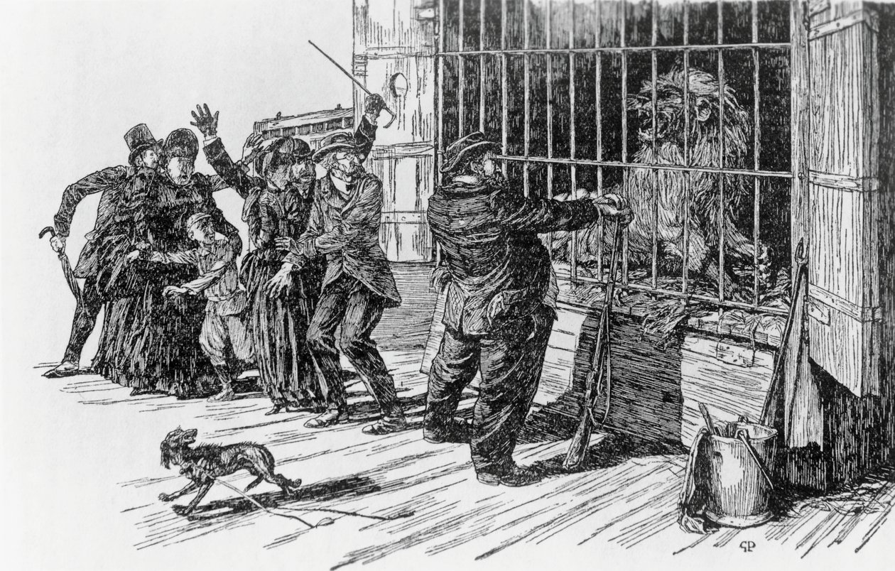 Tartarin ja leijonan häkki, kuvitus Tartarinille Alpeilla, Alphonse Daudet Milan tekijältä Giuseppe Porcheddu