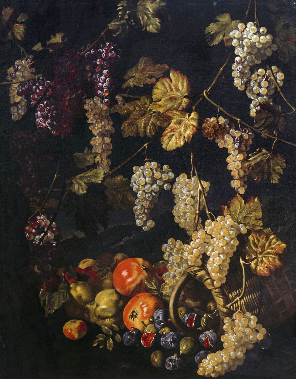 Asetelma rypäleillä, viiniköynnöslehdillä ja muilla hedelmillä, Giuseppe Reccon (1634-1695) öljymaalaus tekijältä Giuseppe Recco