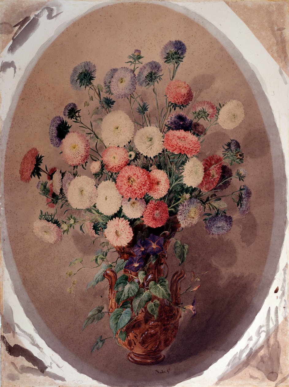 Joukko koiranputkea Giuseppe Rodan akvarelli (1800-luku) 1863 Koko 70x51 cm Genes, Galleria d