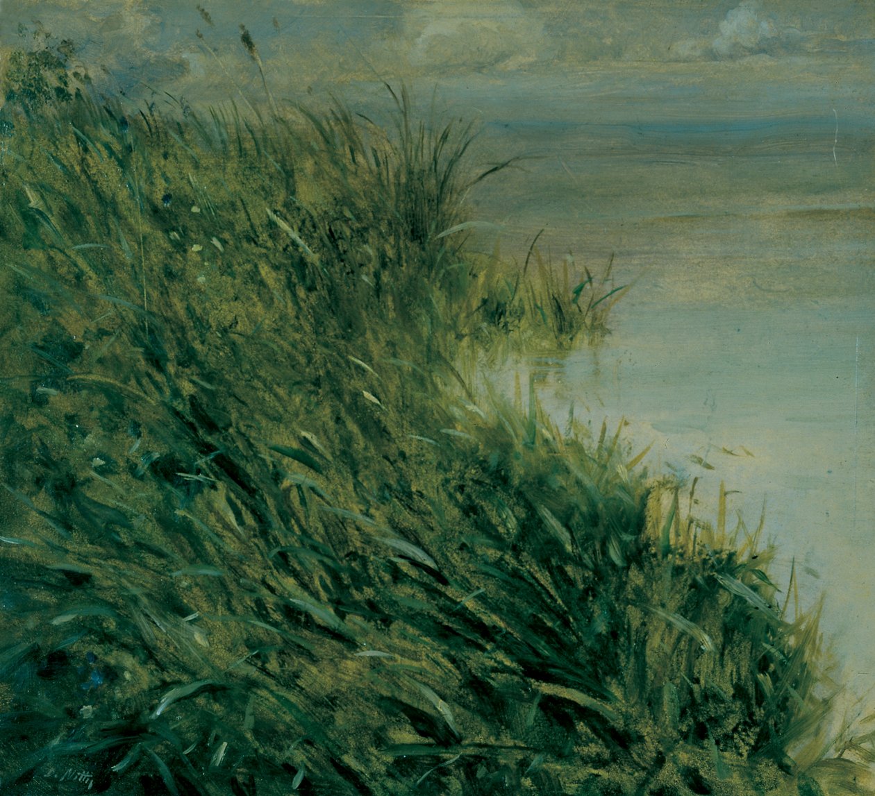 Suon tutkimus tekijältä Giuseppe or Joseph de Nittis