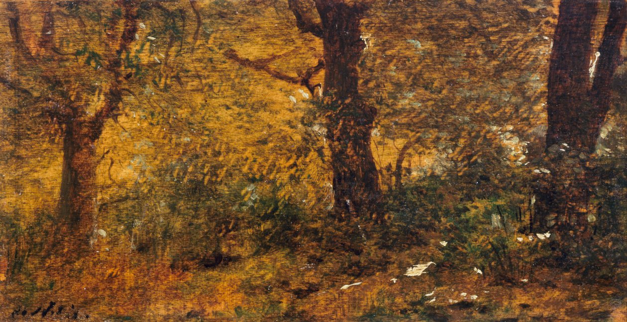 Puun tutkimus tekijältä Giuseppe or Joseph de Nittis