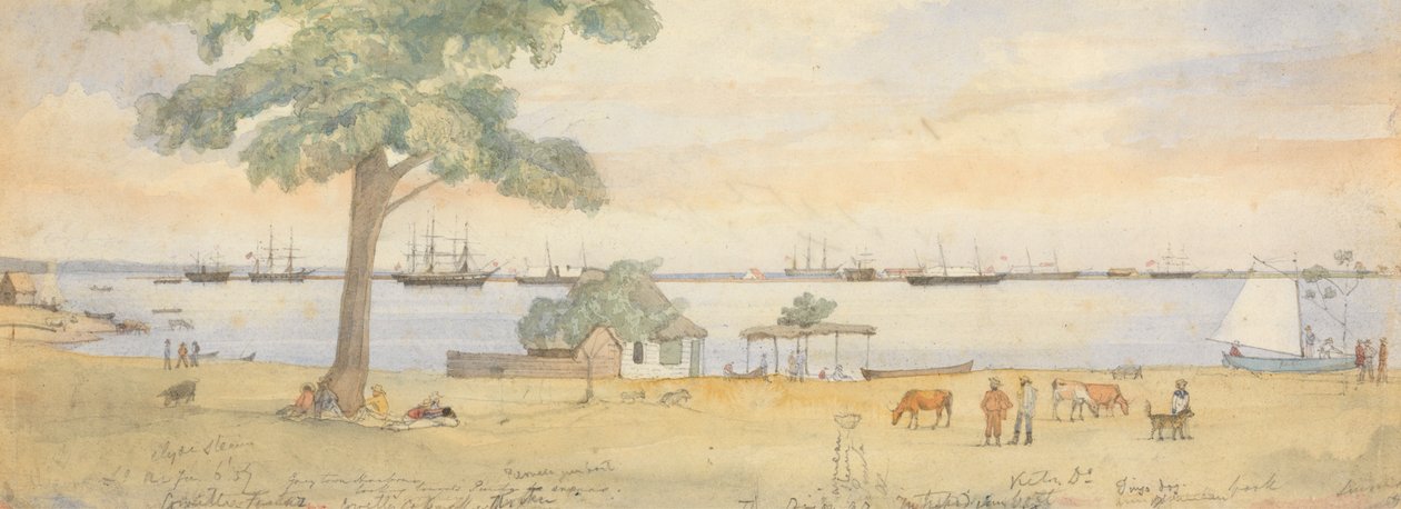 Greytown tekijältä Godfrey Thomas Vigne