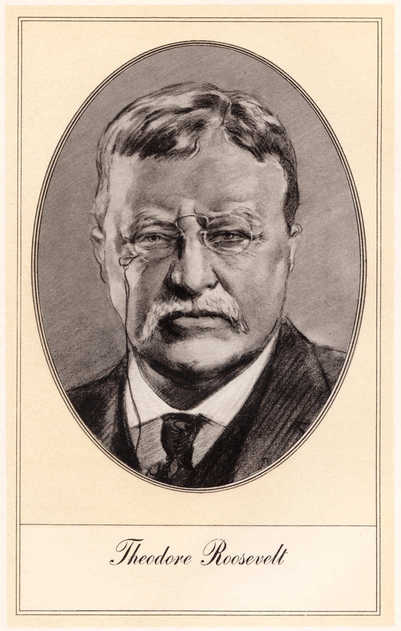 Theodore Roosevelt, Yhdysvaltain 26. presidentti, 1900-luvun alku. tekijältä Gordon Ross