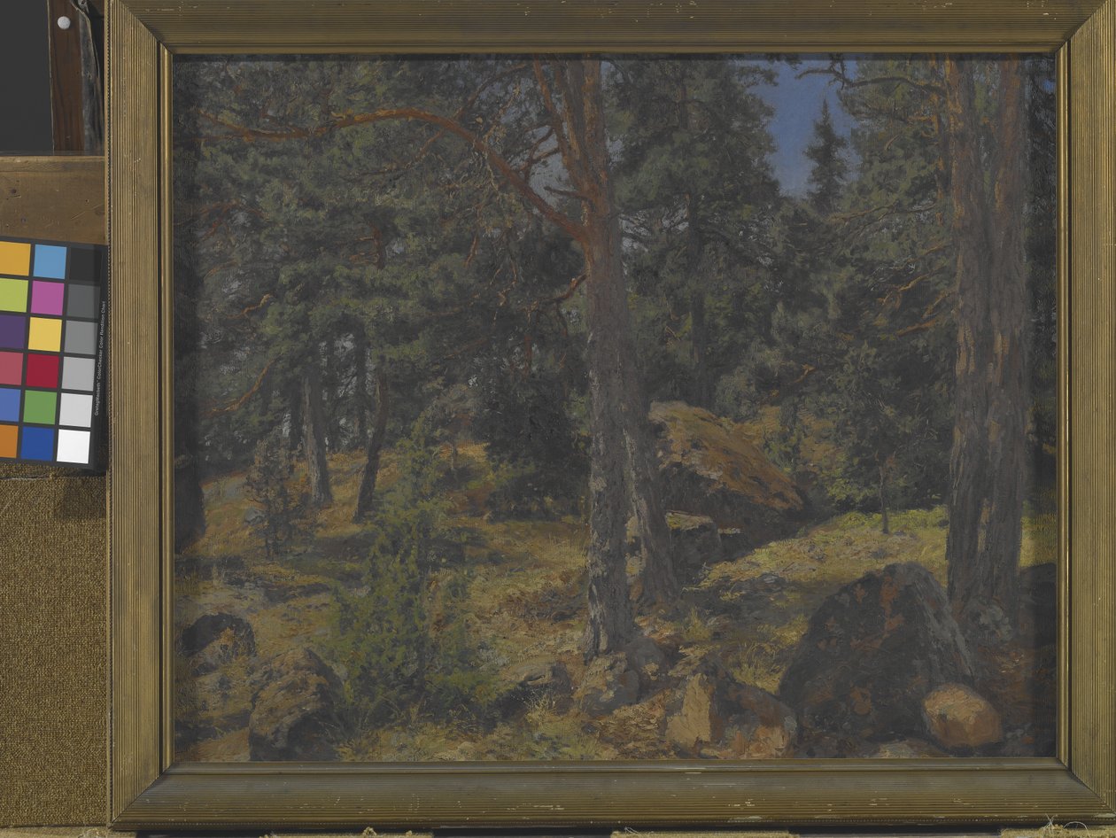 A Fir Bank (öljy kankaalle) tekijältä Gottfried Kallstenius