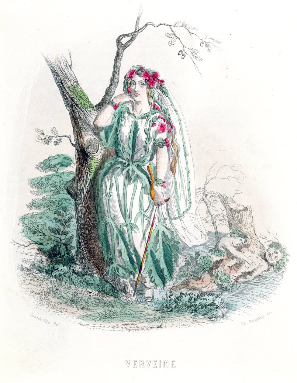 Vervain, Les Fleurs Animeesista, kaiverrus Charles Geoffroy (1819-82), 1847 (värikaiverrus) tekijältä Grandville