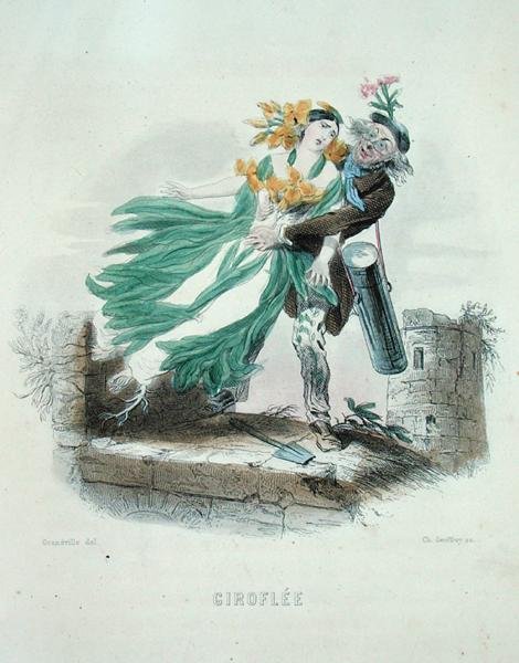 Yrttikauppias varastaa seinäkukkaa, Les Fleurs Animeesista, kaivertanut Charles Geoffroy (1819-82) tekijältä Grandville