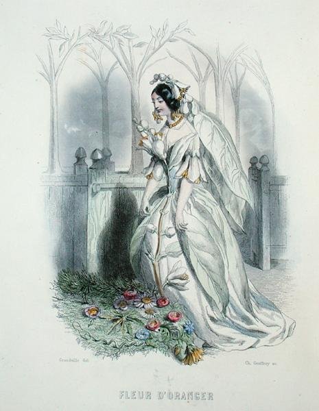 Les Fleurs Animeesin appelsiinin kukka, kaiverrettu Charles Geoffroy (1819-82) tekijältä Grandville