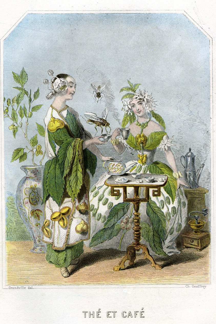 Kuvitus 