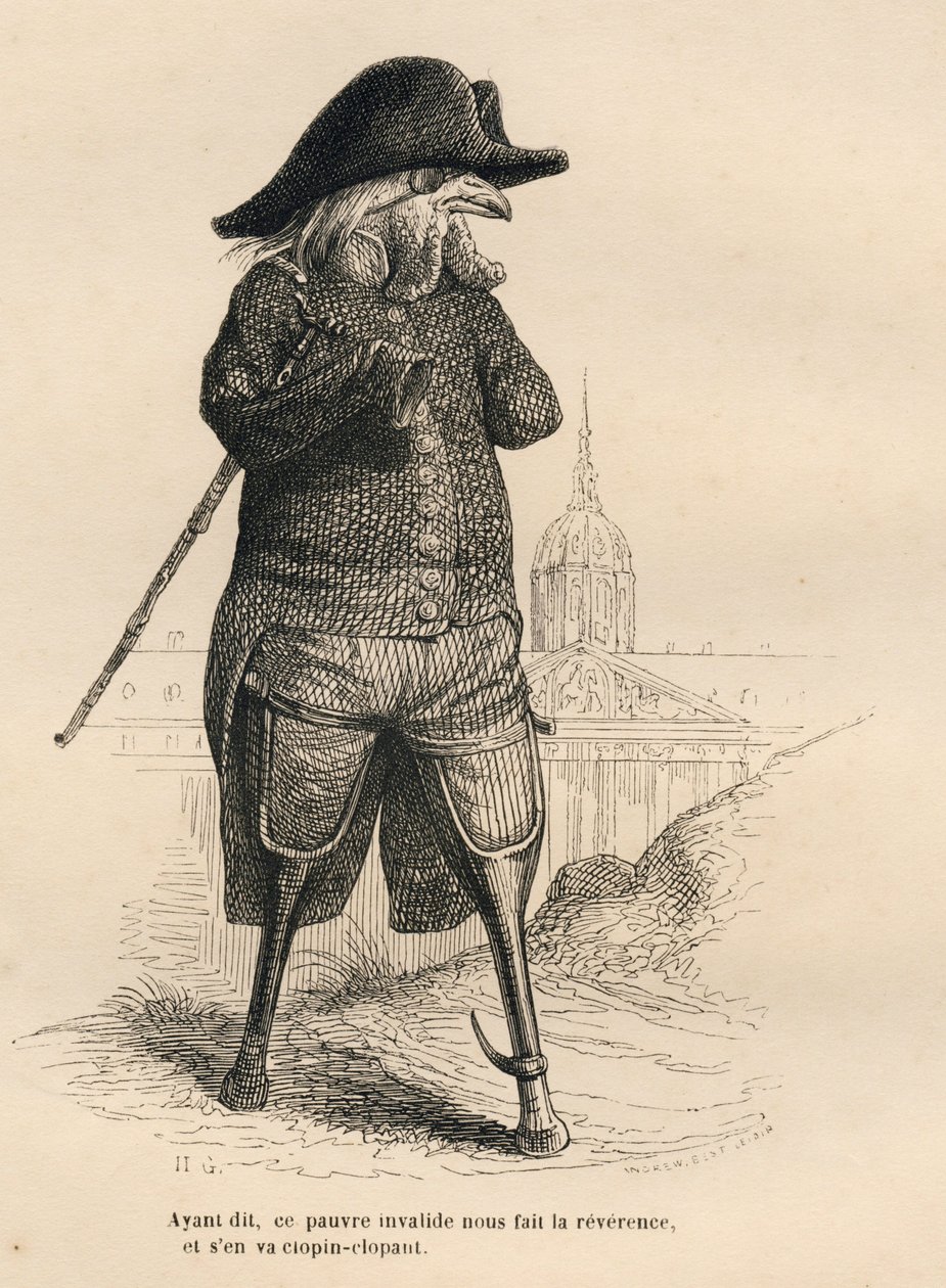 Kukko invalides hotelli des invalides edessä Pariisissa. JJ Granvillen kuvittamat pikkukuvat. Kaiverrus allekirjoitettu Andrew, Best ja Leloir osassa nimeltä "Lääketieteelliset eläimet", jonka Pierre Bernard on kirjoittanut "Kohtauksia eläinten yksityisest tekijältä Grandville