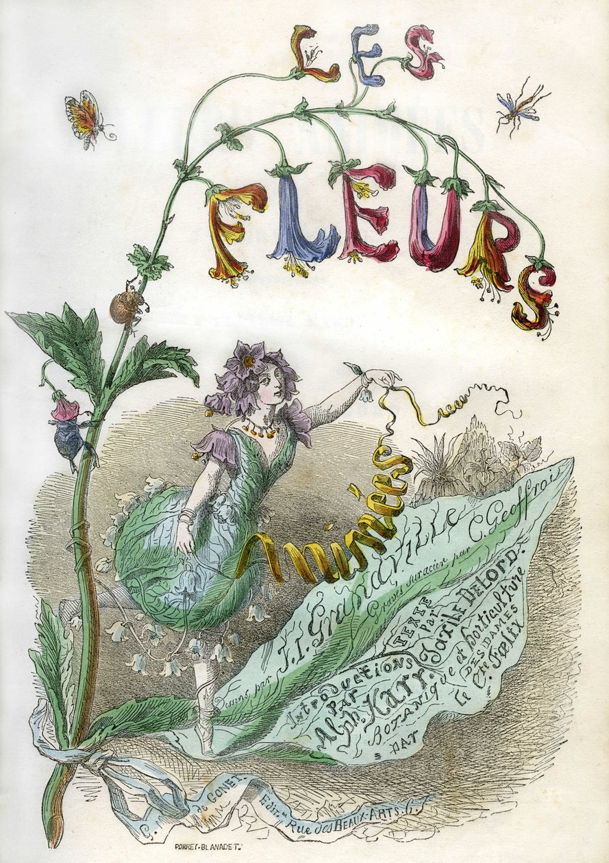 Grandvillen kuvittaman kirjan "Les Fleurs animees" etukuva, värillinen kaiverrus ja sabluunapainatus. Gonet Edition 1857 tekijältä Grandville (1803-47)