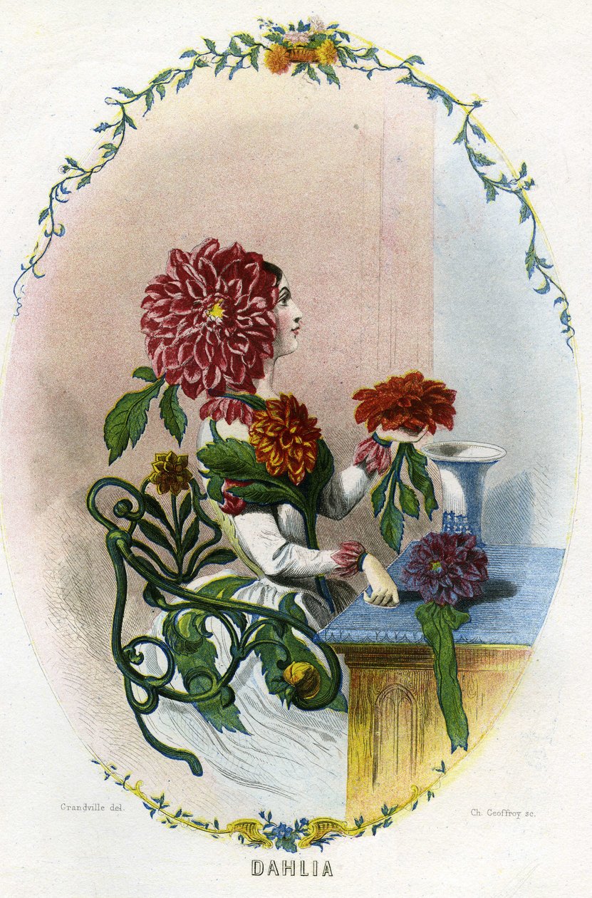 Kuvitus 