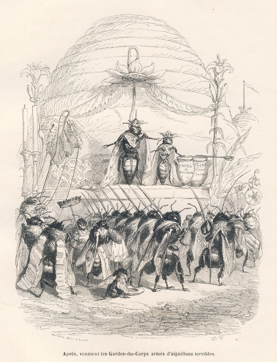 Kuningatar mehiläinen ja hänen armeijansa. JJ Granvillen kuvittamat pikkukuvat. Kaiverrus allekirjoitettu Andrew, Best ja Leloir osassa nimeltä "Journey of a sparrow from Paris", jonka on kirjoittanut George Sand teoksessa "Kohtauksia eläinten yksityisestä tekijältä Grandville