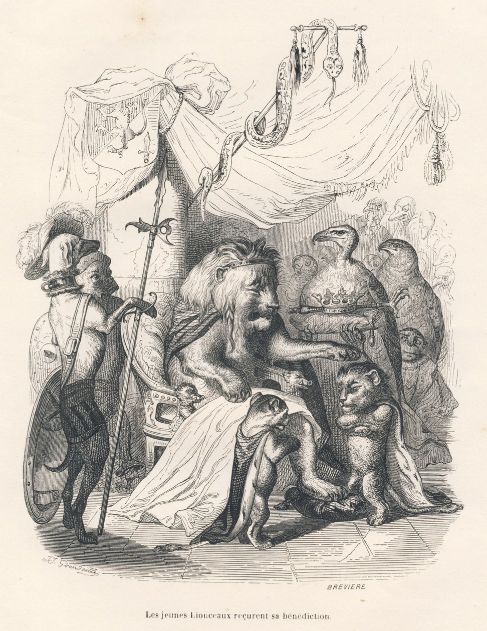 Les jeunes lionceaux recoivent la benediction du roi lion. Vinjettikuvat, JJ Granville. Syväsyväkirjoitus Breviere dans la partie intitulee "Voyage d