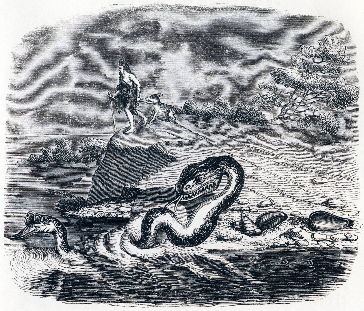 Käärmeen etumatka ja häntä (La tete et la queue du serpent) - La Fontainen sadut tekijältä Grandville