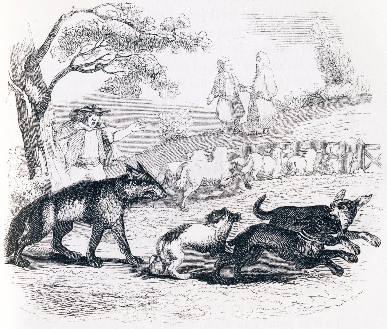 Bassa ja kauppias - La Fontainen Fables tekijältä Grandville