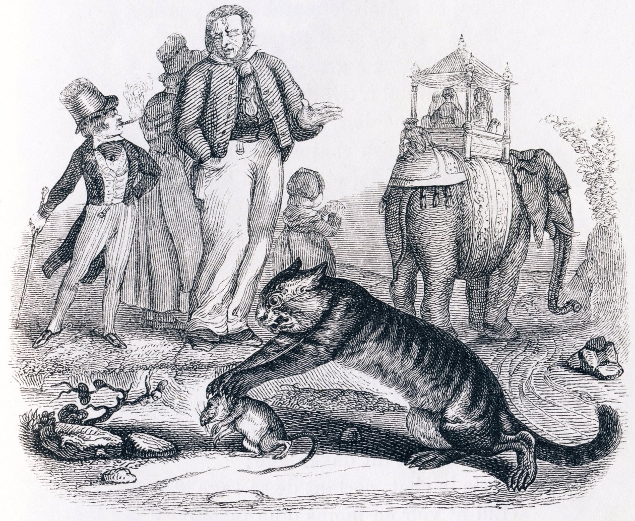 Rotta ja norsu (le rat et l
